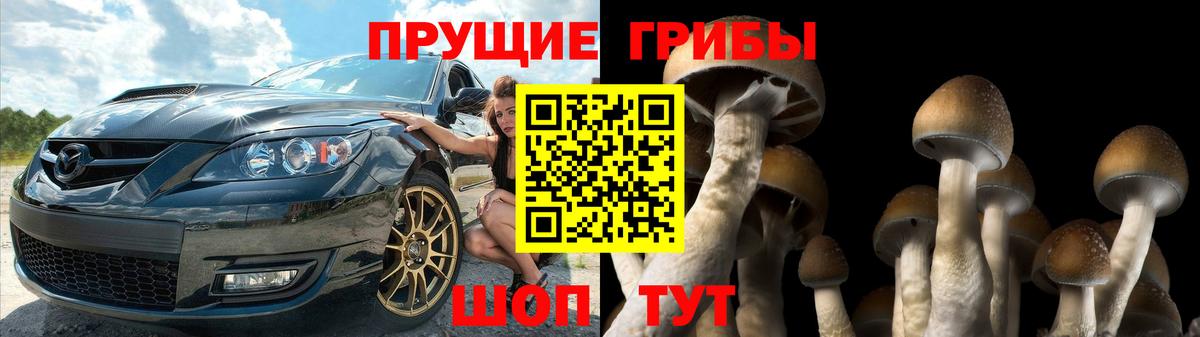 Галлюциногенные грибы мухоморы  Вход с VPN  Псилоцибиновые грибы GOLDEN TEACHER  Ступино 